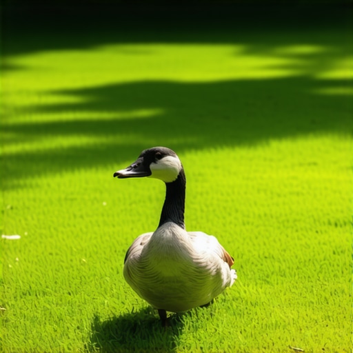 A tranquil image of a goose walking in a vibrant green field, representing peace and patience.