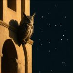 Interpretación de soñar con una lechuza en el Islam: Significado y simbolismo